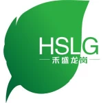 Chongqing Hesheng Longgang Technology Co., Ltd.
