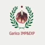 Garlico For Import And Export