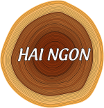 HAI NGON PRIVATE ENTERPRISE