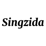 Chengdu Singzida Technology Co., Ltd.