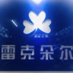 Shenzhen Rector Technology Co., Ltd.