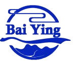 Guangzhou Baiying Electronic Technology Co., Ltd.