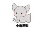 Jinjiang Little Elephant Easy Buy Trade Co., Ltd.