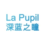 Shenzhen La Pupil Technology Co., Ltd.
