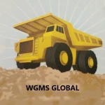 WGMS Global