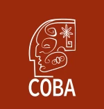Coba Investments And Consulting LLC