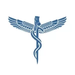 Sumerian Medical