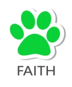 Jiangxi Faith Trading Co., Ltd.