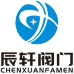 Shandong Chenxuan Valve Manufacturing Co., Ltd.