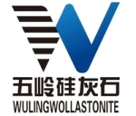 Guangdong Wuling Wollastonite Co., Ltd.