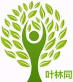 Weifang Yelintong Board Co., Ltd.