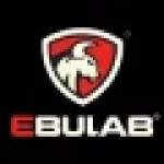 Ebull Power Innovations Ltd