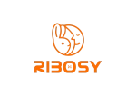 Shenzhen Ribosy Technology Co., Ltd.