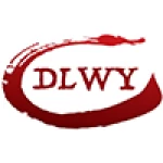 Shenzhen DLWY Technology Co., Ltd.