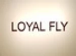 Guangzhou Loyal Fly Bags Co., Ltd.