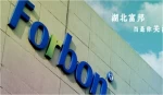 Hubei Forbon Technology Co., Ltd.