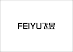 Jiujiang Feiyu Electrical Co., Ltd.
