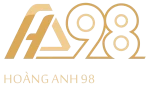HOANG ANH 98 TRANSPORT IMPORT EXPORT COMPANY LIMITED