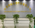 Dongguan Dingyuan Electronic Technology Co., Ltd.