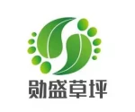 Hebei Xunsheng Simulation Lawn Co., Ltd.