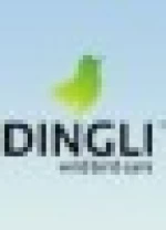 Jinhua Dingli Tools Factory