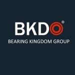 Bearing Kingdom Group