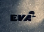 Shenzhen EVA Handbag Co., Ltd.