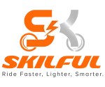 SKILFUL INT'L HOLDING CORP