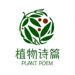 Anhui Zhimian Dry Flower Handicraft Co., Ltd.