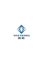 Shenzhen Vastking Electronic Co., Ltd.
