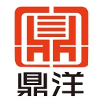 Jieyang Dingyang Hardware Products Co., Ltd.
