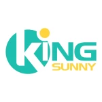 Shenzhen King-Sunny Technology Co. , Limited