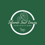 Tabanan Taro Leaves