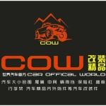 Yujiang County Runze Auto Accessories Co., Ltd.