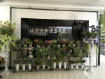 Shantou Chaonan Simapu Xinhuoli Flower Art Factory