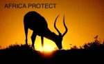 Africa protect medical supplies