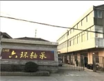 Changzhou Liuhuan Bearing Factory