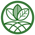 MARIOX TRADING