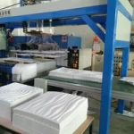 Dongguan Wallon Plastic Product Limited