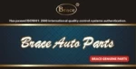 Guangzhou Brace Auto Parts Co., Ltd.