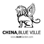 Hebei Blue Ville Technology Co., Ltd.