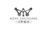 Dongguan Woye Intelligent Robot Technology Co., Ltd.