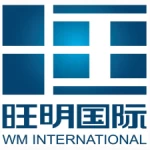 Hengshui Wangming Amusement Equipment Co., Ltd.
