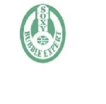 Jiangsu Saiouxinyue Defoamer Co., Ltd.