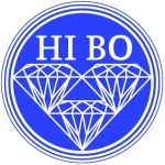 Hi Bo International Technology Limited