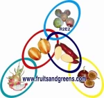BINH THUAN FRUITS AND GREENS COMPANY LIMITED