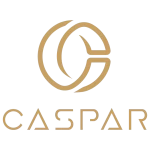 Guangzhou Caspar Technology Co., Ltd.