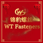Hebei WT Fasteners Co.,Ltd