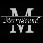 Guangzhou MerrySound Pro-Audio Equipment Firm