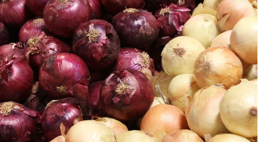 Buy Wholesale Onion 